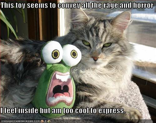 mmm, maybe if I dumb it down for 'you' Funny-pictures-calm-cat-crazy-toy